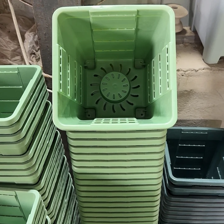 方19口径10个无托浅绿