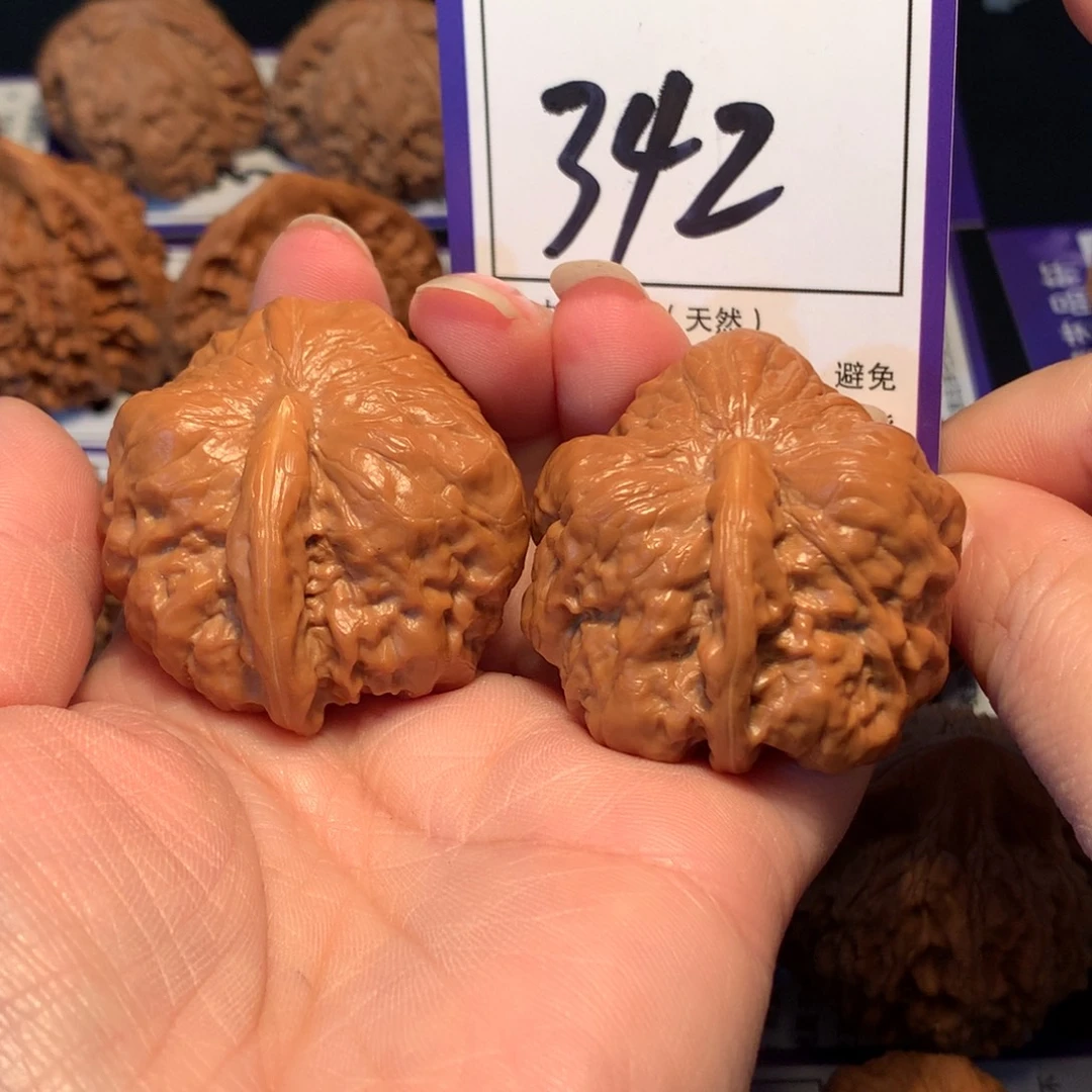 核桃342一根筋4.1