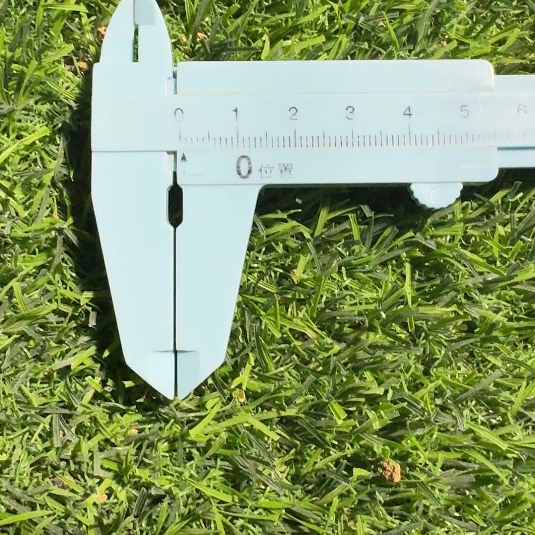 直播间，白王，专拍，