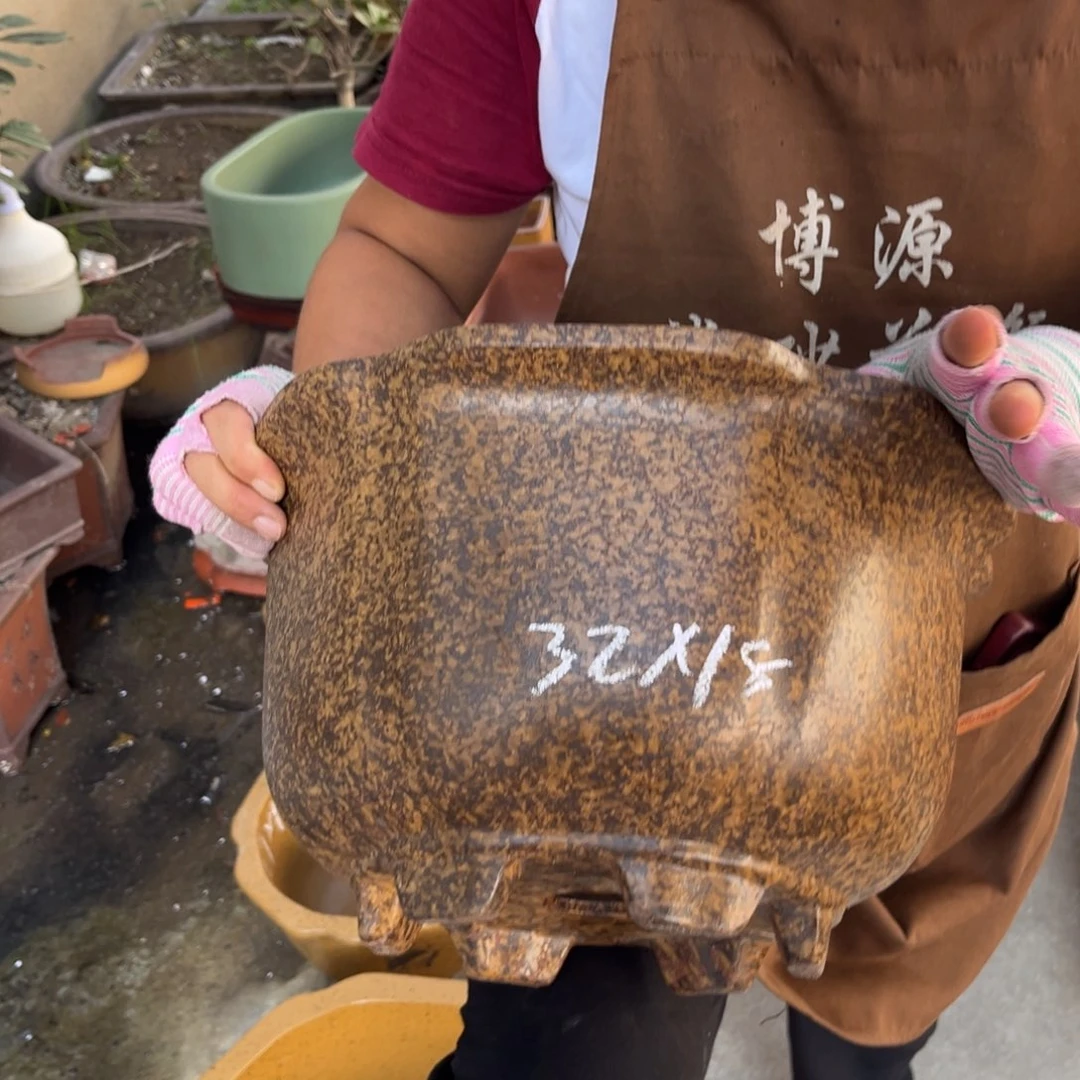 紫砂花盆盆景艺术