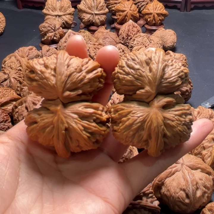 白狮子连体51尺寸核桃哈哈哈哈哈