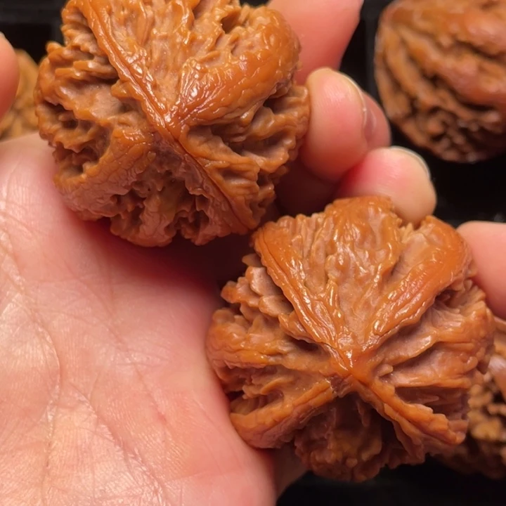 文玩核桃把件秦岭山脉核桃