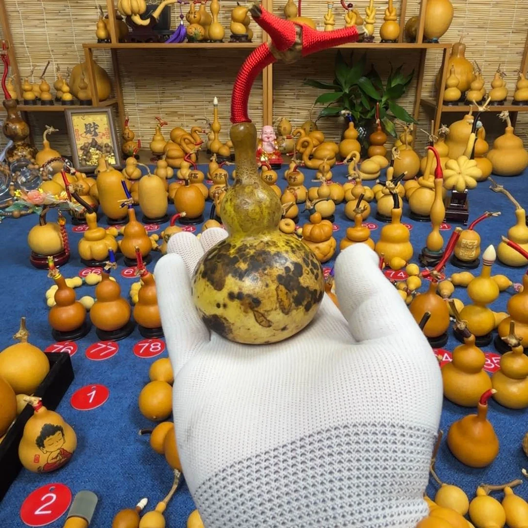 海***泡直播间专用 一物一拍