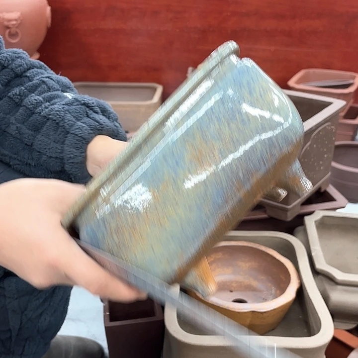 紫砂花盆紫砂的花也太漂亮