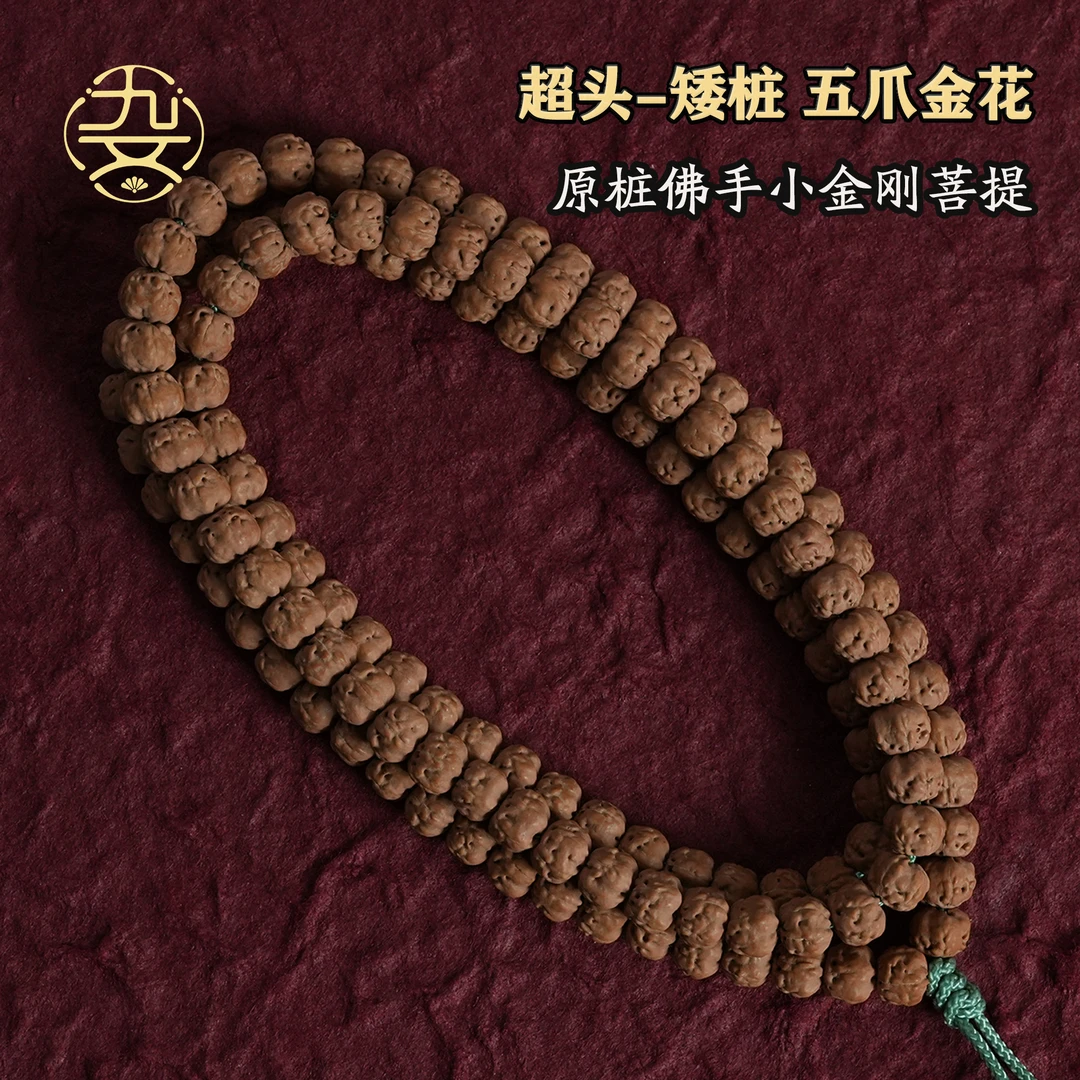 7mm超头矮桩-五爪金花原桩佛手108长串小金刚菩提