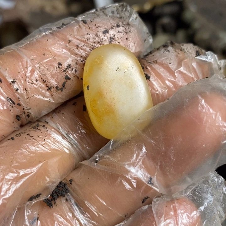 白玉菩提吊坠234578