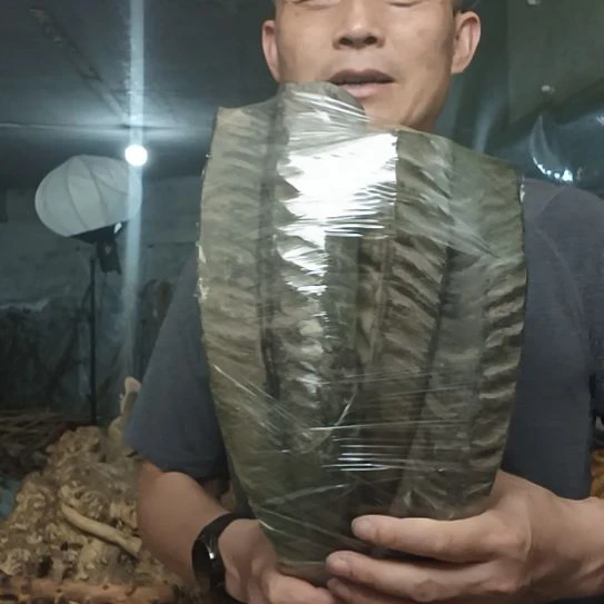 稳定木t**n高山 檬子木文玩料