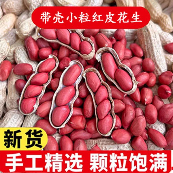 新鲜红皮小粒红带壳生花生农家自种自然晒干干货