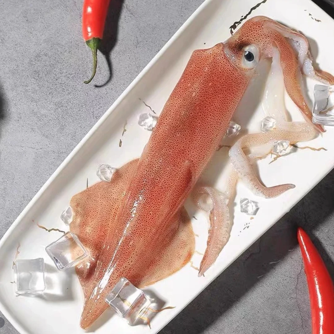 本港手钓 火箭鱿  2斤 3斤装  3斤4-6条