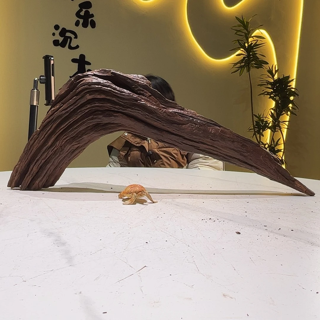 瓦当雨***舍会黄黑红水250