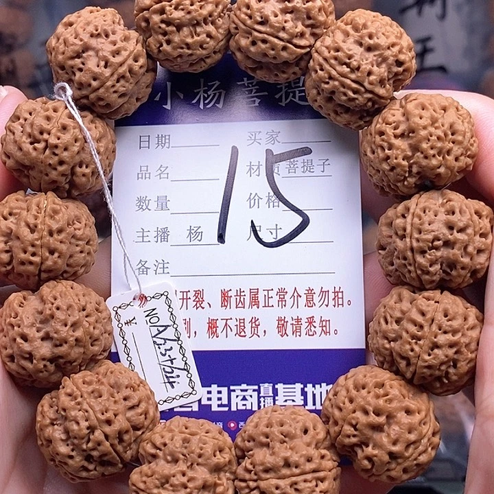 手串金刚菩提23.5/24铁骨双龙