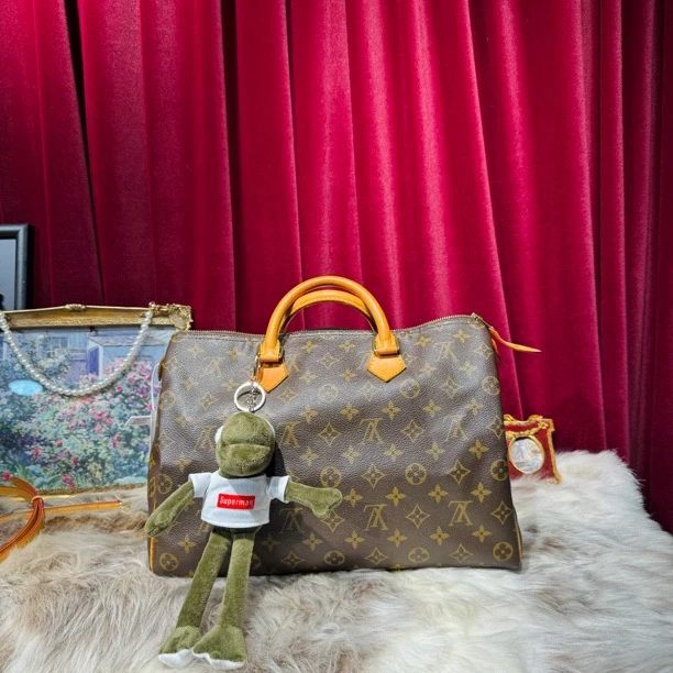 95新 LouisVuitton/路易威登 全原装枕头包35 speedy35LY0051