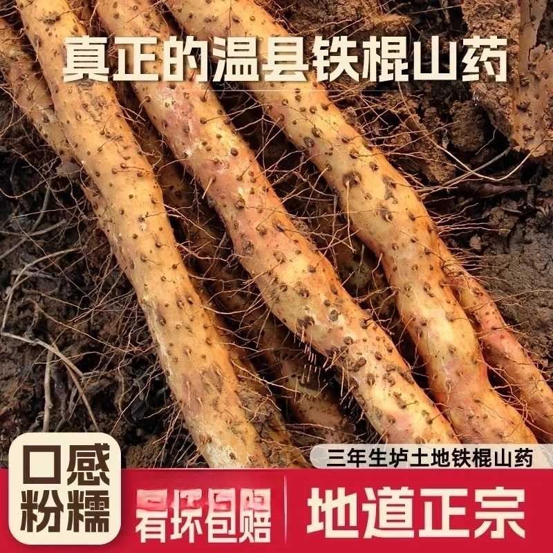 （官方授权）正宗河南焦作温县垆土铁怀山药新鲜特产五斤