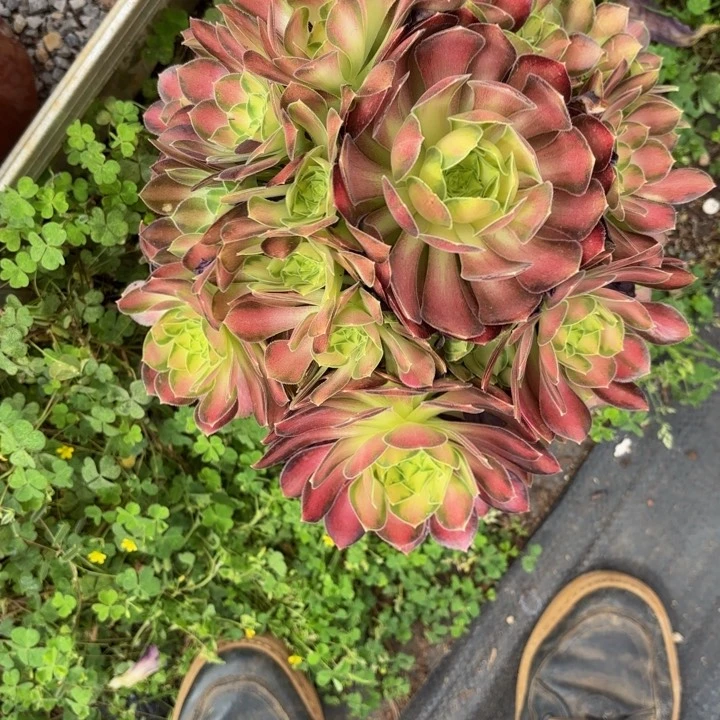 时***?补发货脱土发1234