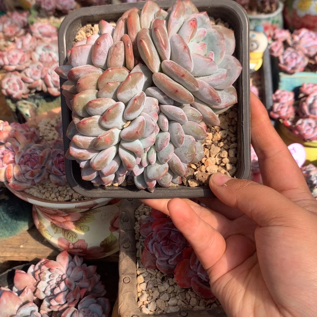 哈哈哈哈哈哈哈哈22