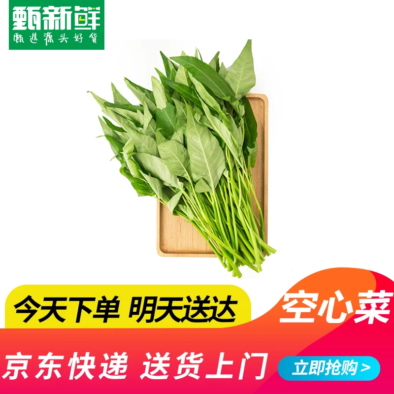 新鲜空心菜350g今天下单明天包邮送到家空心菜