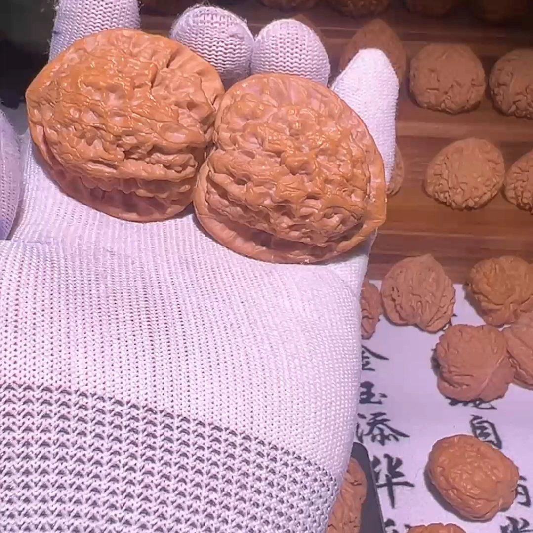 核桃43尺金公子有修