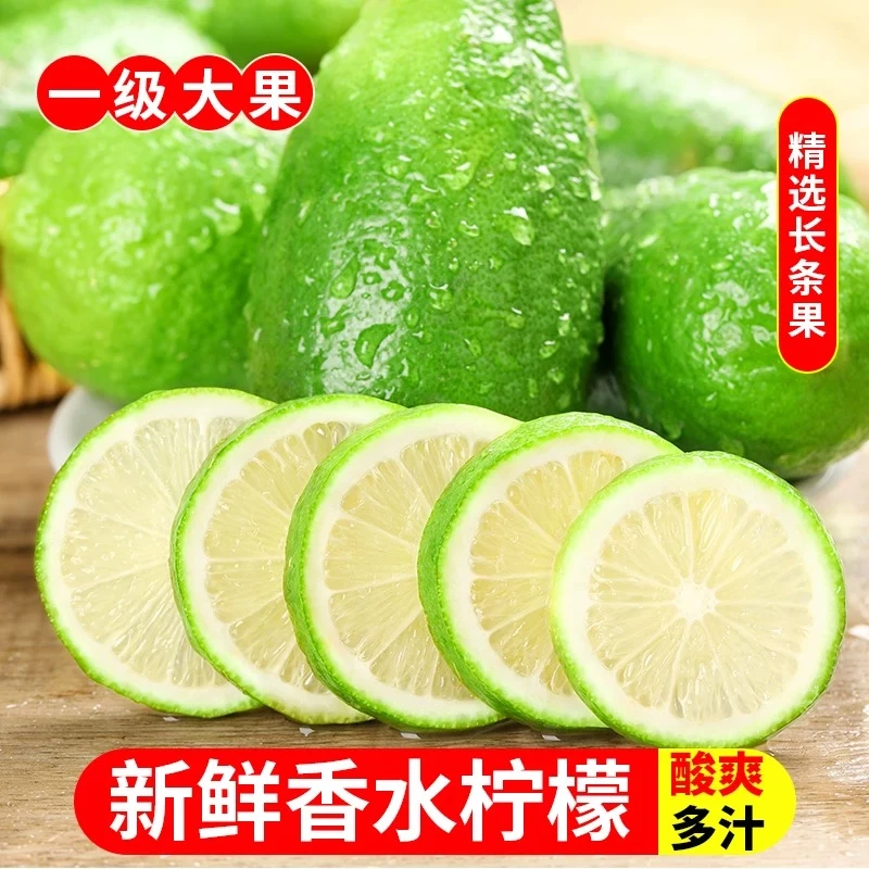 海南无籽香水柠檬正宗奶茶店专用水果青柠檬薄皮多汁清香新鲜爽口