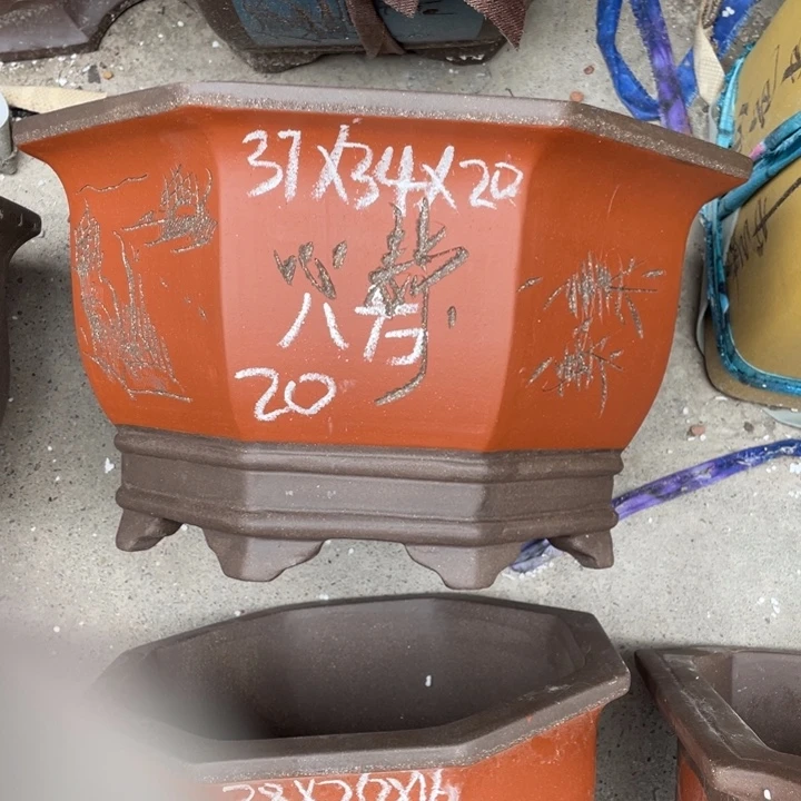 周深周深周深周深周深