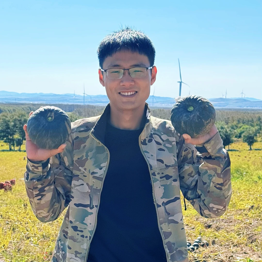 坝上高海拔沙地板栗贝贝南瓜粉糯香甜产地直发