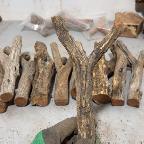 大果紫檀（缅甸花梨）阿**C