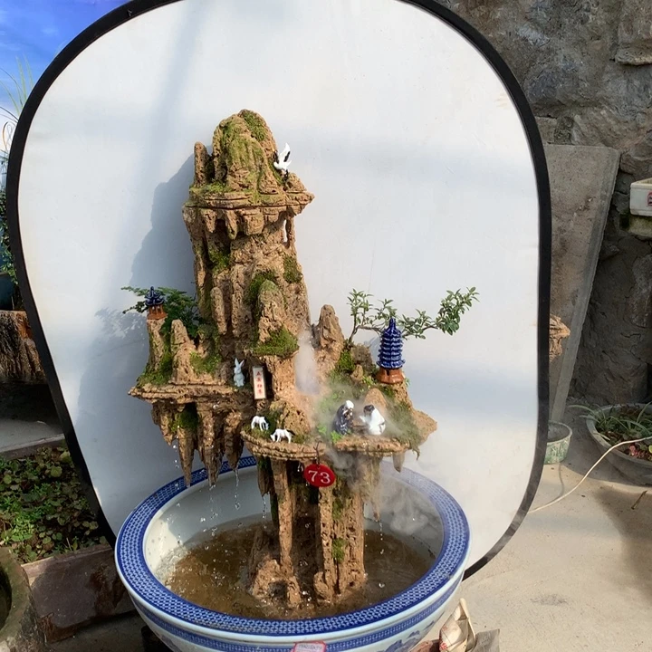 天然上水石吸水石盆景