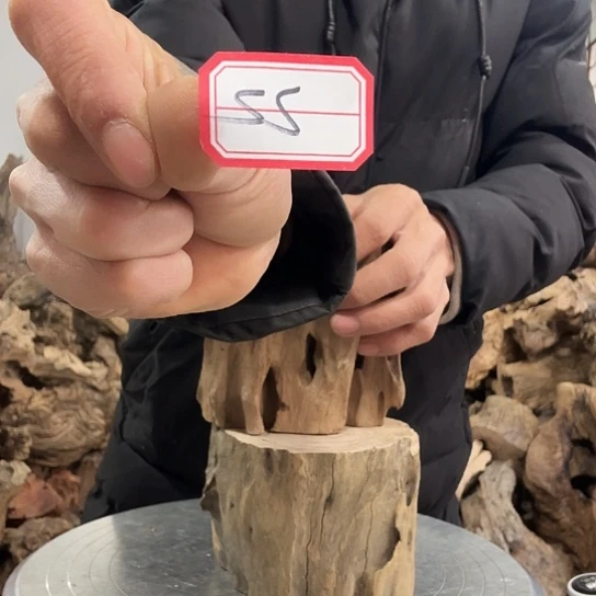 啸*紫砂噜啦啦啦啦啦啦