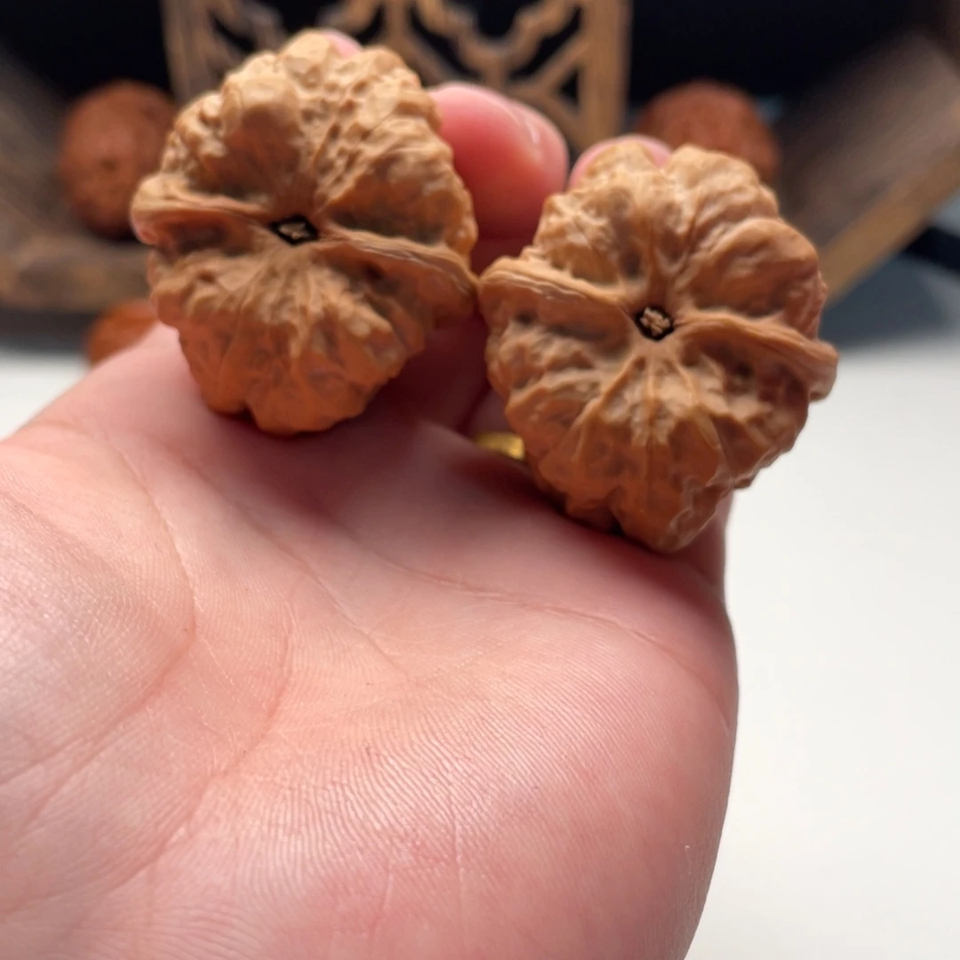 你***哥大叶紫檀（黑酸枝木类）蛤蟆头文玩C08