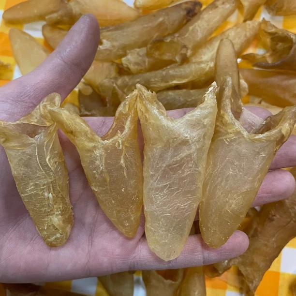 【大海货】黄花筒仔原只