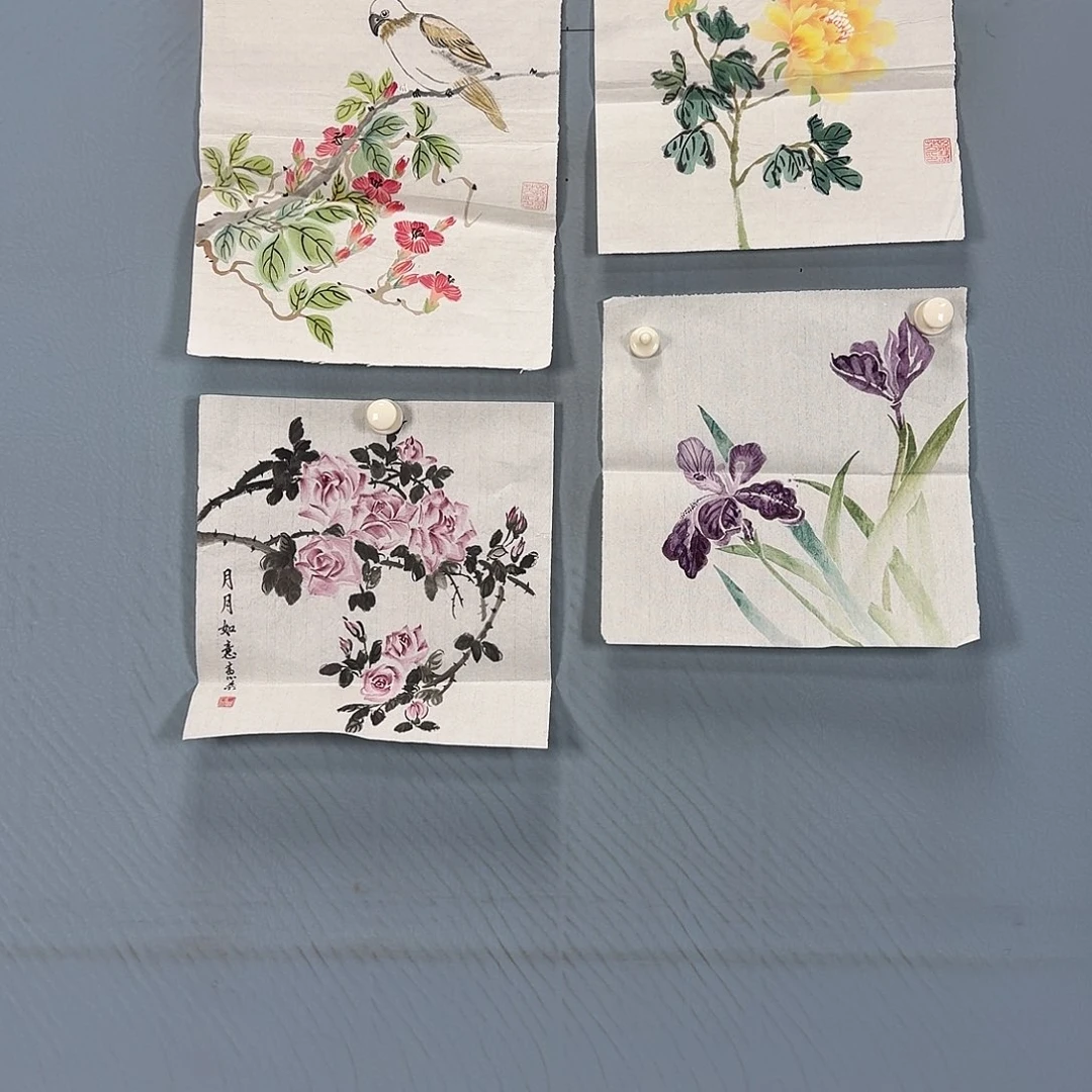 秋***来国画532 牡丹一如你初