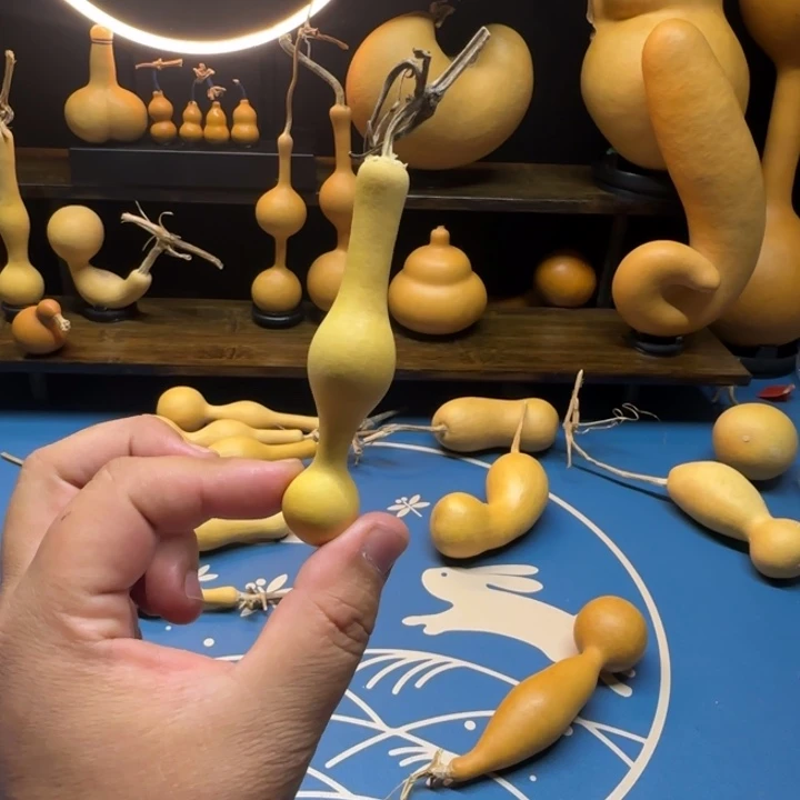 m***张张48464994979葫芦