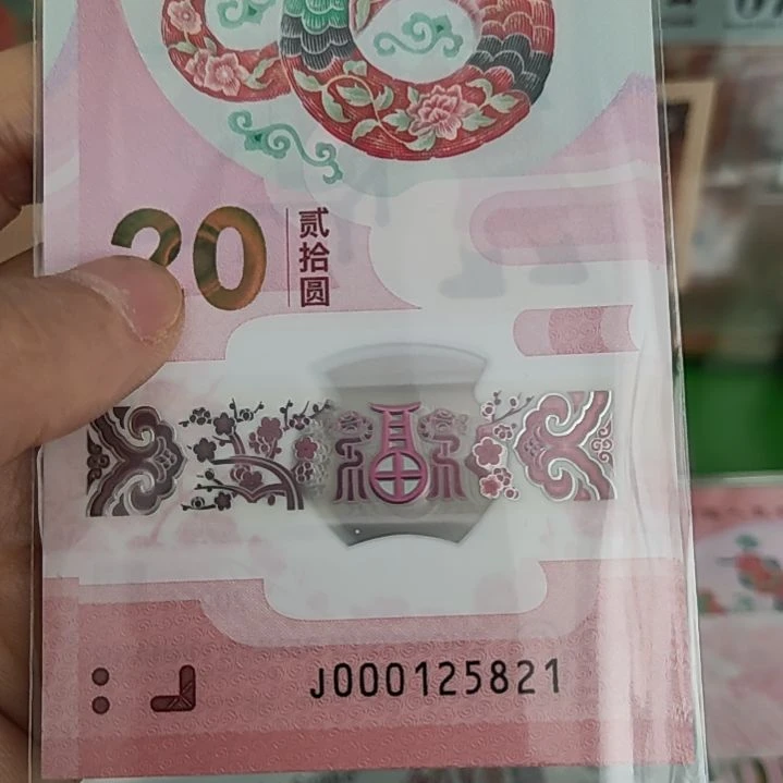 000125821标十小司令蛇钞塑料钞