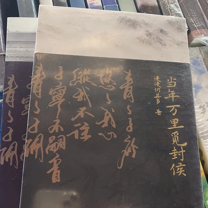 当年万里觅封侯全新全套两本带周边