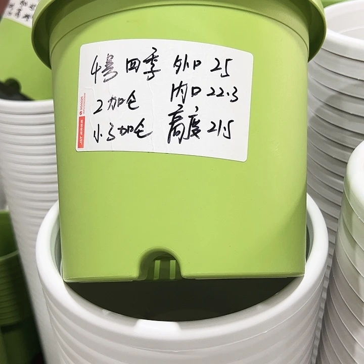 特价4号口25高21果绿8只无托