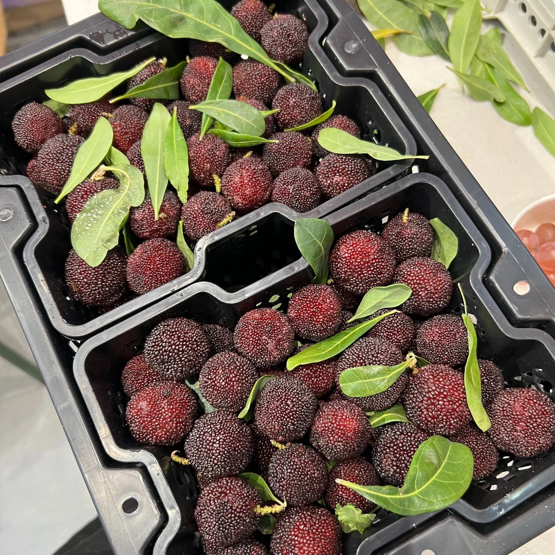 【1斤】纯甜东魁杨梅