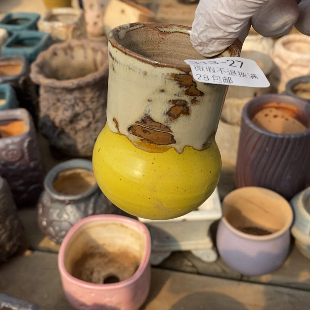 H**?27号多肉盆一个小可爱