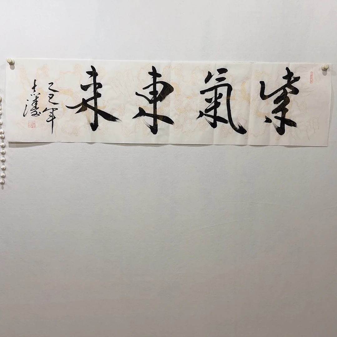 国画宋志涛。带合影视频