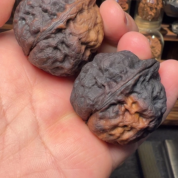 文玩核桃把件火凤凰38mm