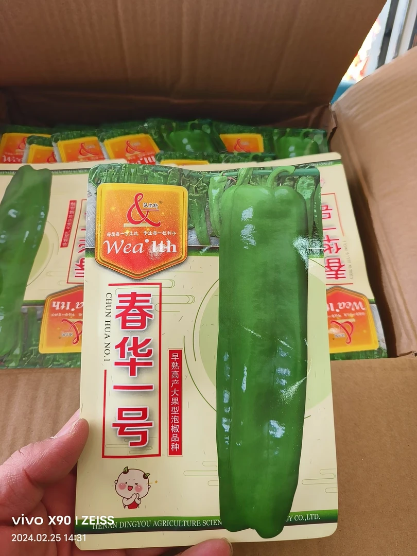 春华一号早熟粗牛角单果200克