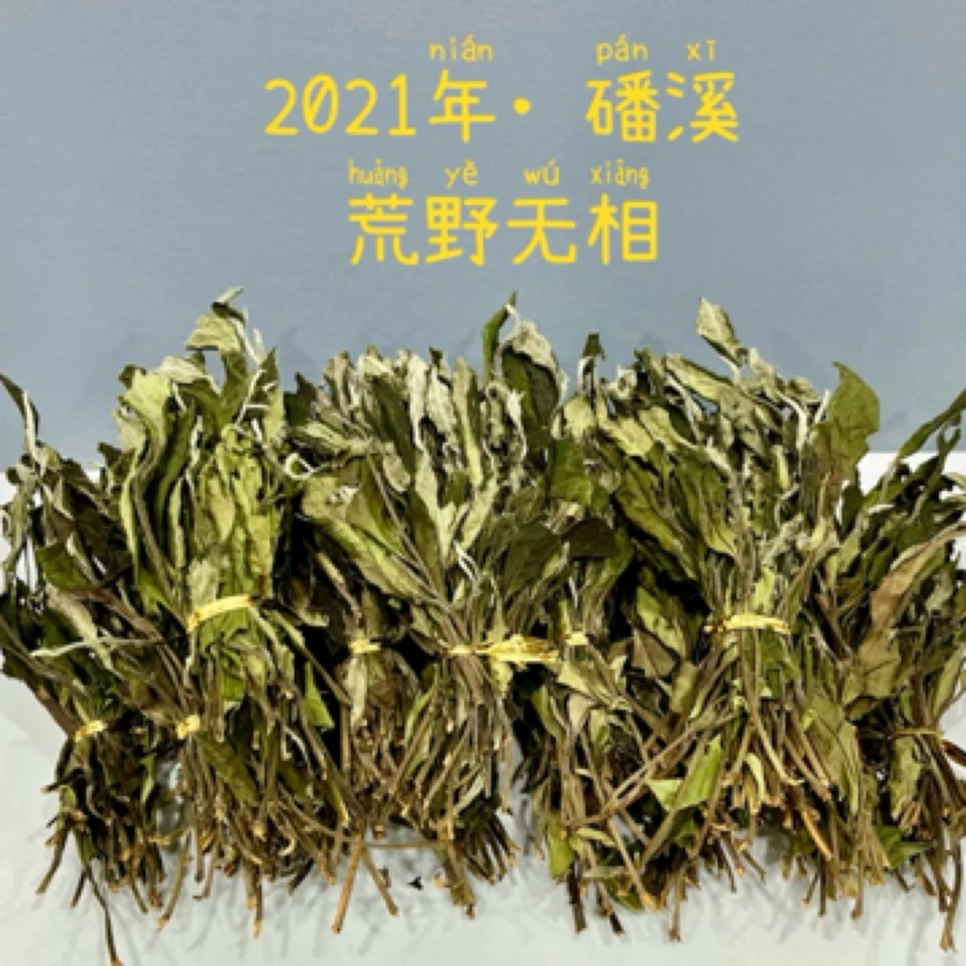 【荒野无相】2021年正宗福鼎古树珍白茶春季高山荒野寿眉老枞白茶