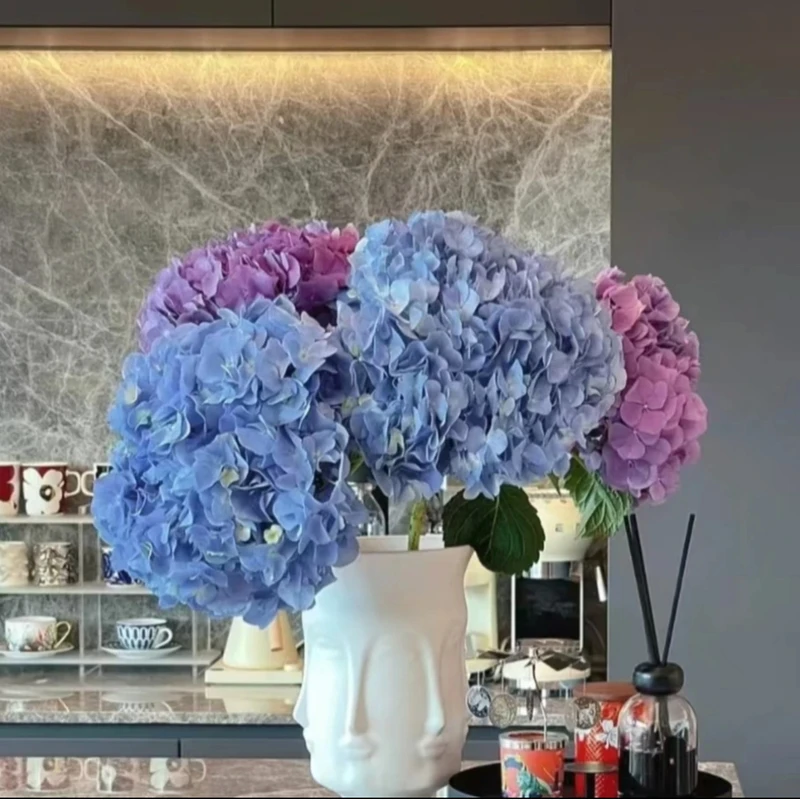 绣球花鲜切花云南基地直发水养花家养店摆