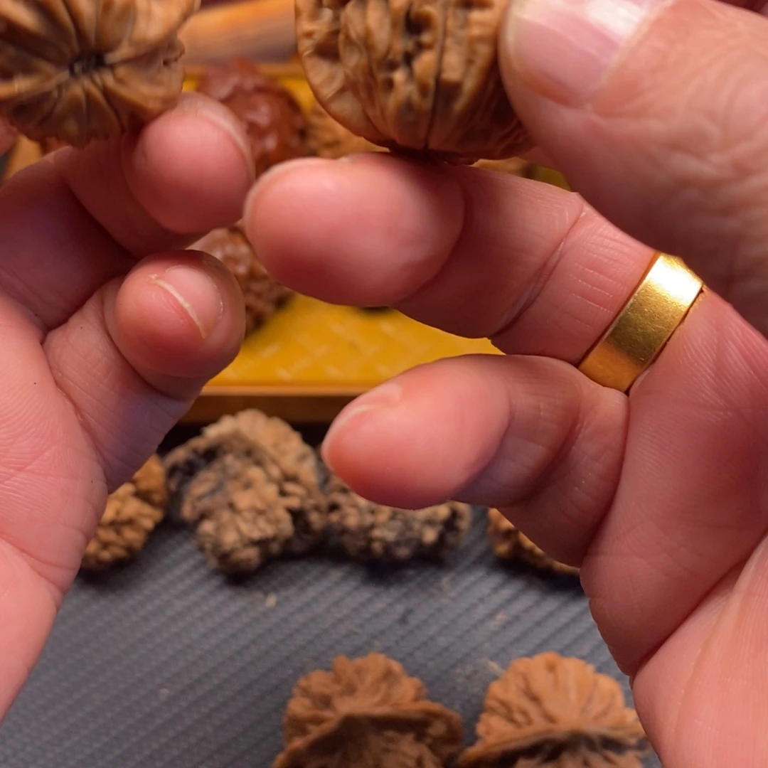 嘿***嘿秦岭森林茂密地栖息