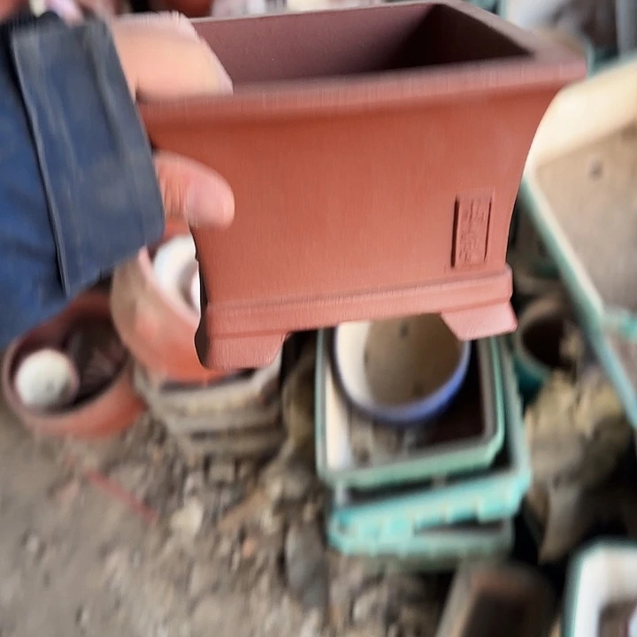 是一个不知名作家与著名导演兼电影