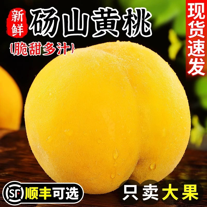 【顺丰包邮】黄桃新鲜水果当季整箱爆甜桃子大果黄金蜜蒙阴蜜桃5斤
