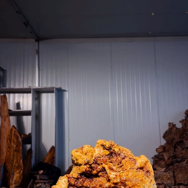 咸***人木材猛子琥珀木摆件7