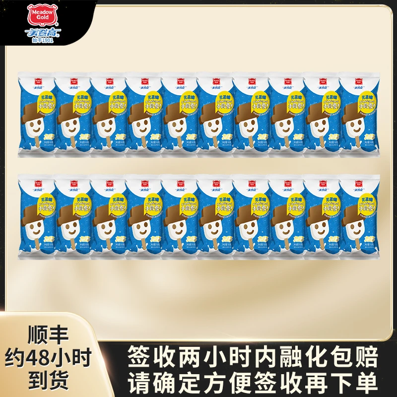 美登高【双11补贴价】无蔗糖小同雪20支巧克力雪糕奶香大头冰淇淋
