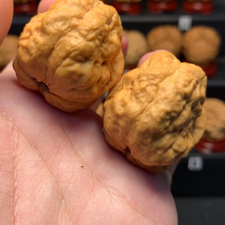 文玩核桃把件至尊妖蟾38尺寸