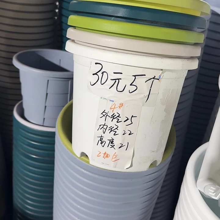 四季4#口径25白色8个无托