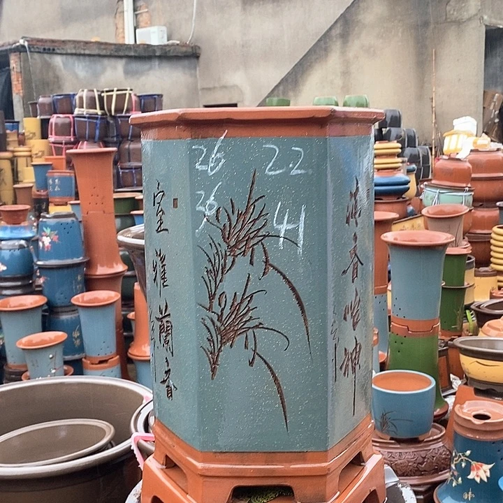 紫砂花盆盆栽植物观赏