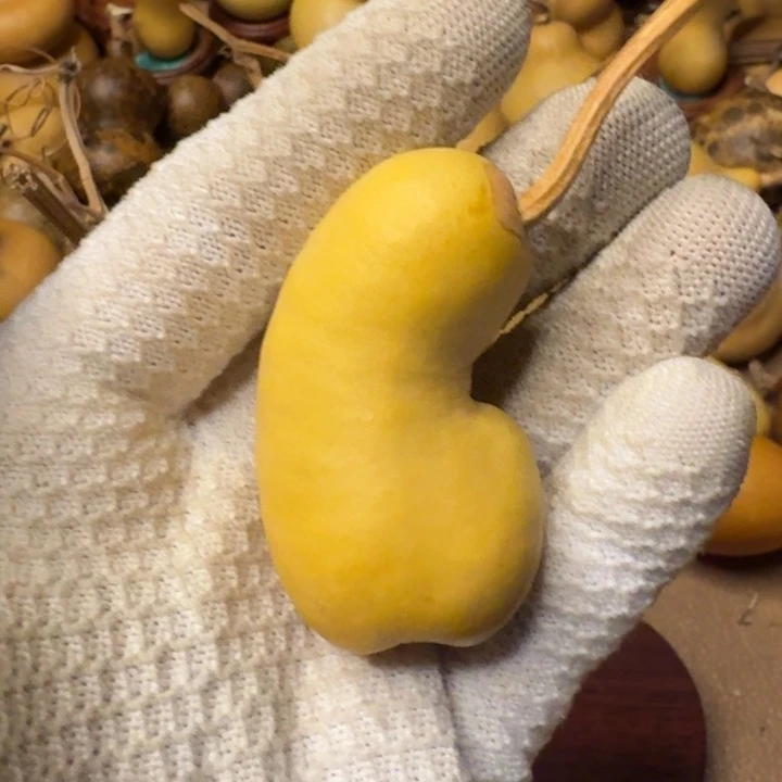 海***天葫芦88888888888888